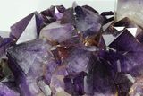 Deep Purple Amethyst Crystal Cluster With Huge Crystals #185443-4